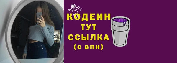 дурь Заводоуковск