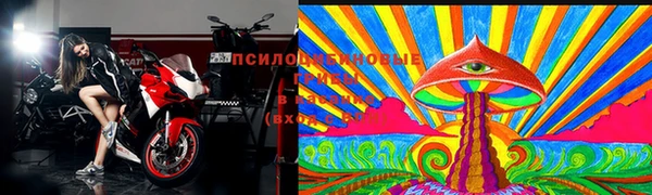 дурь Заводоуковск