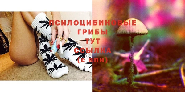 дурь Заводоуковск