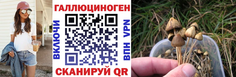 Галлюциногенные грибы Cubensis  Купить закладки  Солигалич 